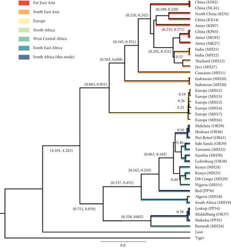 Mitogenomic Characterization of South African Leopards and the Effect of Past Climatic Events