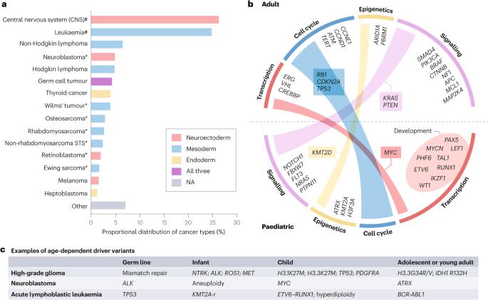 Developmental origins shape the paediatric cancer genome