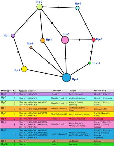 Molecular Epidemiology and Antifungal Susceptibility Profile in Nakaseomyces glabrata Species Complex: A 5-Year Countrywide Study