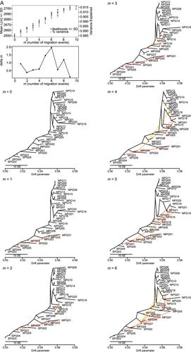 Intraspecific divergence in a coastal plant, Euphorbia jolkinii, at a major biogeographic boundary in East Asia