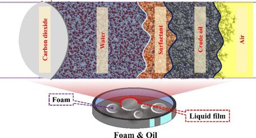 Investigation of the Stability Mechanism of Stimulus-Responsive Wormlike Micelle-CO2 Foams in the Oil Phase