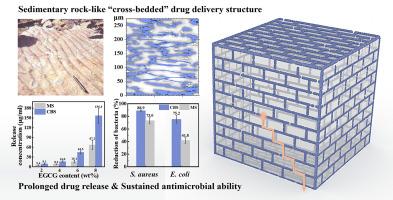 Construction of a cross-bedded tea polyphenol delivery structure in ultrahigh molecular weight polyethylene against bacteria for joint replacement