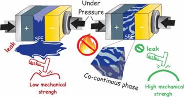 Harnessing melt processing for the preparation of mechanically robust thermoplastic vulcanizate electrolytes