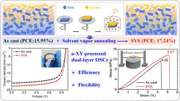 Improving efficiency and flexibility of non-halogenated solvent-processed dual-layer organic solar cells through solvent vapor annealing