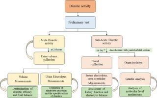 Diuretic effects of Hecogenin and Hecogenin acetate via aldosterone synthase inhibition