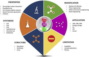 Recent developments in synthesis, properties, and applications of 2D Janus MoSSe and MoSexS(1-x) alloys