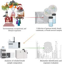 Exhaled breath analysis applications for evaluating occupational and environmental exposures