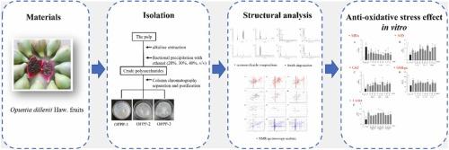 Structural characterization of three acidic polysaccharides from Opuntia dillenii Haw. fruits and their protective effect against hydrogen peroxide-induced oxidative stress in Huh-7 cells