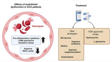 Endothelial dysfunction in Sickle Cell Disease: Strategies for the treatment