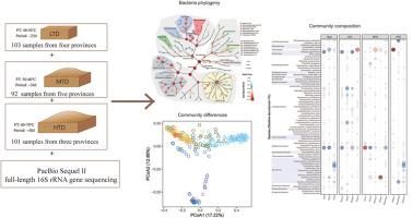 Species-level understanding of the bacterial community in Daqu based on full-length 16S rRNA gene sequences