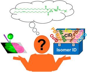 An analytical evaluation of tools for lipid isomer differentiation in imaging mass spectrometry