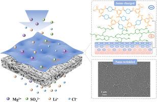 Enhancing ion separation efficiency: Janus charged nanofiltration membrane fabricated viapolyethyleneimine-manipulated interfacial polymerization