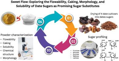 Sweet flow: Exploring the flowability, caking, morphology, and solubility of date sugars as promising sugar substitutes