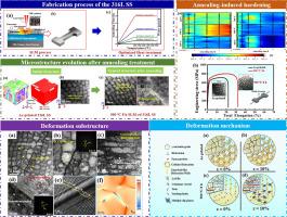 New insights into annealing induced hardening and deformation mechanisms in a selective laser melting austenitic stainless steel 316L