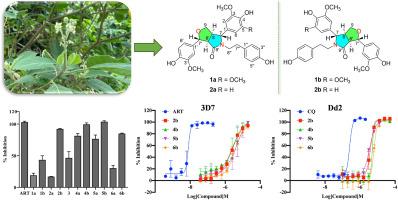 Stereochemical insights into enantioselective antiplasmodial lignanamides from the twigs and leaves of Solanum erianthum