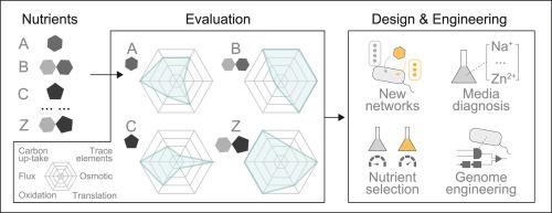 Deciphering nutritional stress responses via knowledge-enriched transcriptomics for microbial engineering