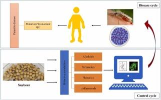 In silico analysis of soybean phytocompounds against Plasmodium falciparum