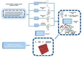 Aptamer biosensor design for the detection of endocrine-disrupting chemicals small organic molecules using novel bioinformatics methods