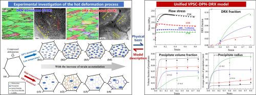 Dynamic precipitation and recrystallization behavior during hot deformation of Al-Zn-Mg-Cu alloy: Experiment and modeling