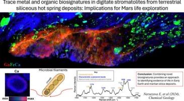 Trace metal and organic biosignatures in digitate stromatolites from terrestrial siliceous hot spring deposits: Implications for the exploration of martian life