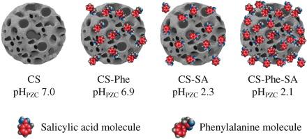 Modification of carbon sorbent by sequential adsorption of biologically active phenylalanine and salicylic acid