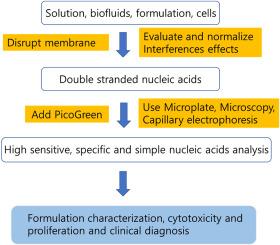 PicoGreen assay for nucleic acid quantification - Applications, challenges, and solutions