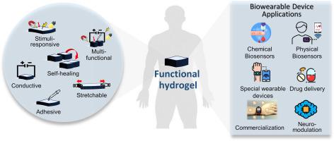 From lab to wearables: Innovations in multifunctional hydrogel chemistry for next-generation bioelectronic devices