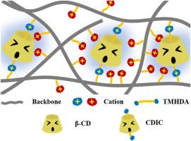 Cyclodextrin-alkyldiamine rotaxane cross-linked anion exchange membranes for electrodialysis