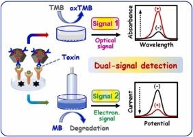 Electrochemical and colorimetric dual-signal detection of Staphylococcus aureus enterotoxin B based on AuPt bimetallic nanoparticles loaded Fe-N-C single atom nanocomposite