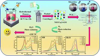 Proficient Engineering of NiO/Cu2S/rGO heterojunction photocatalysts: fabrication, dye degradation, and mechanism pathways towards environmental remediation