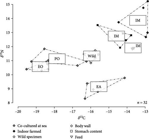 Survival, Growth, and Food Resources of Juvenile Sea Cucumbers Holothuria forskali (Echinodermata, Holothuroidea) in Co-Culture with Shellfish in Brittany (France)