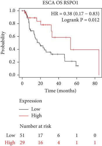 Identification and Validation of Immune Implication of R-Spondin 1 and an R-Spondin 1-Related Prognostic Signature in Esophagus Cancer