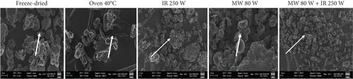 Effects of Combining Microwave with Infrared Energy on the Drying Kinetics and Technofunctional Properties of Orange-Fleshed Sweet Potato