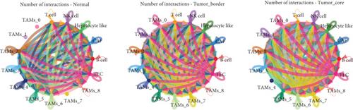 Single-Cell RNA Sequencing Identifies Crucial Genes Influencing the Polarization of Tumor-Associated Macrophages in Liver Cancer