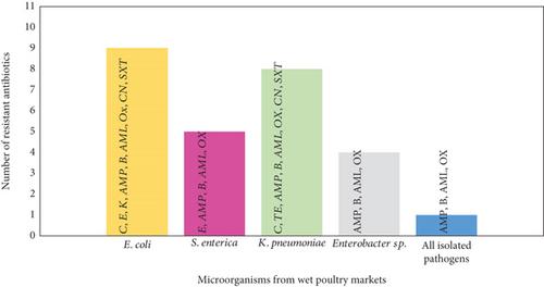 Effectiveness of Nonchlorine Sanitizer in Reducing Pathogens of Wet Market Poultry Settings