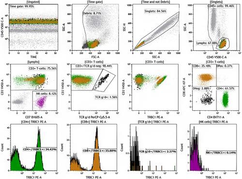 TRBC1 in flow cytometry: Assay development, validation, and reporting considerations