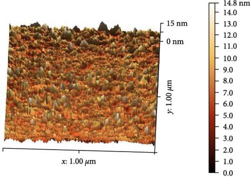 Biowaste Valorization of Palm Tree Phoenix dactylifera L. for Nanocellulose Production