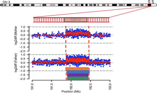 FGF12 copy number variant associated with epileptic encephalopathy