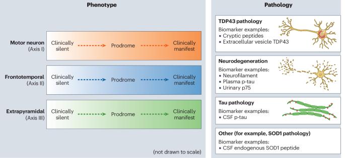 The Miami Framework for ALS and related neurodegenerative disorders: an integrated view of phenotype and biology