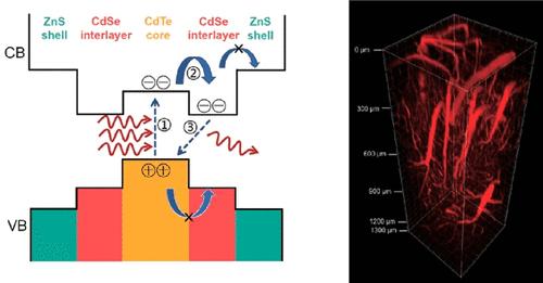 Improving Three-Photon Fluorescence of Near-Infrared Quantum Dots for Deep Brain Imaging by Suppressing Biexciton Decay