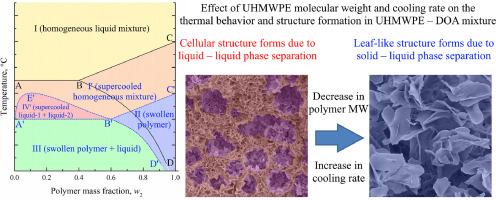 Thermally induced phase separation of UHMWPE mixture with dioctyl adipate: Competition of liquid–liquid phase separation and polymer crystallization