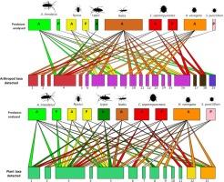 Disentangling omnivory of heteropteran and coccinellid predators present in peach and alfalfa crops by metabarcoding analysis