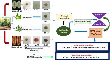 Antioxidant potential and mineral elemental profiling of young and mature fruit and leaf of Carica papaya L. cultivar 'Red Lady'