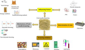 Recent developments in the application of physical processing techniques for controlling browning in fresh wet noodles: A review