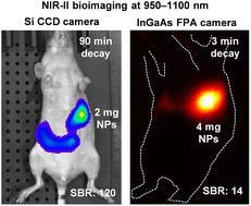 Deep-tissue NIR-II bioimaging performance of Si-based and InGaAs-based imaging devices using short-wave infrared persistent luminescence†