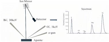 Quantitative accuracy assessment of trace elements and halogens in apatite by time-of-flight secondary ion mass spectrometry (TOF-SIMS)†