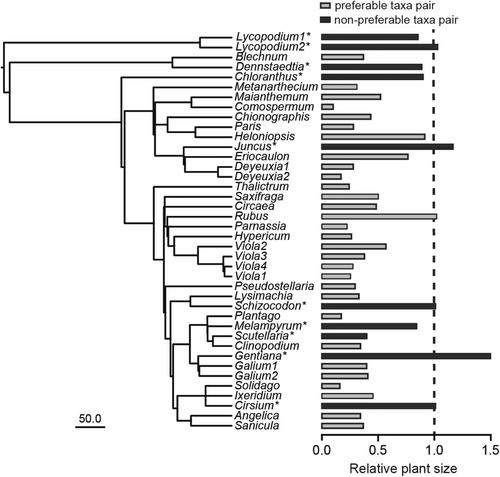 Deer grazing drove an assemblage-level evolution of plant dwarfism in an insular system