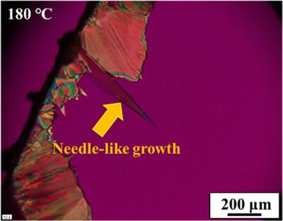 Effects of polyvinylpyrrolidone on the crystallization of amorphous griseofulvin: fracture and molecular mobility