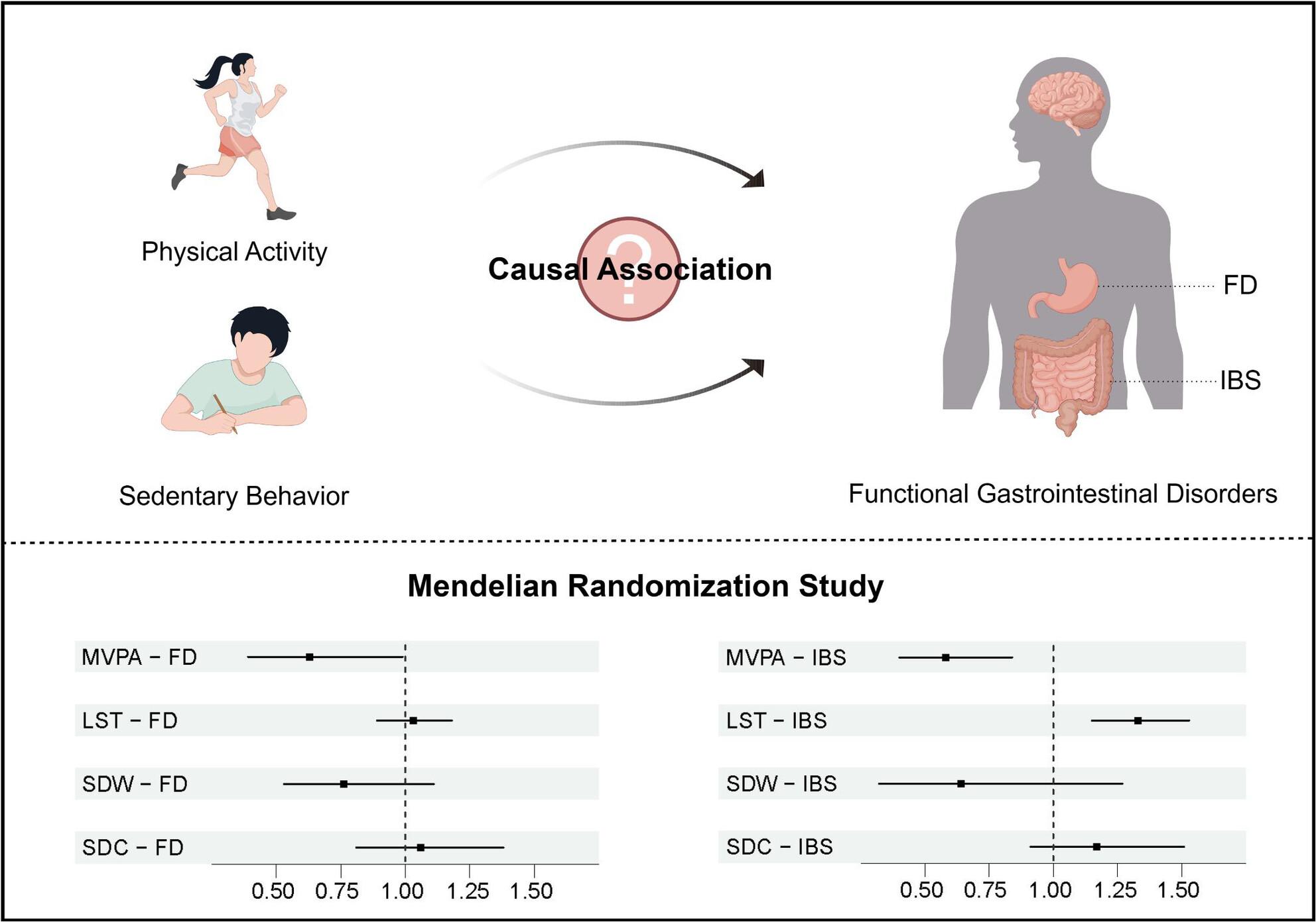 Physical activity, sedentary behavior, and the risk of functional gastrointestinal disorders: A two-sample Mendelian randomization study