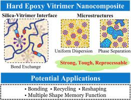 Strengthening and toughening of hard epoxy vitrimer nanocomposites with interfacial covalent binding and microphase separation